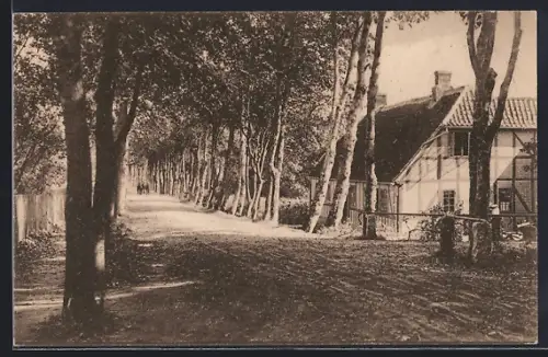 AK Odder, Rathlousdal Alleén