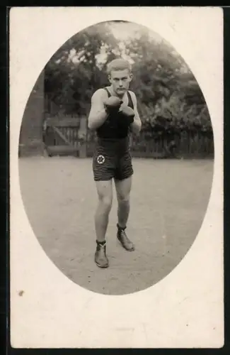 Foto-AK Boxer Lomyn posiert im Freien