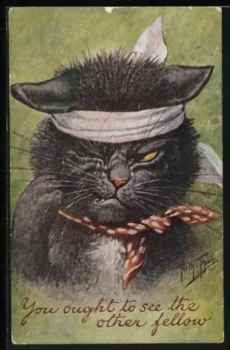 Künstler-AK Arthur Thiele: You ought to see the other fellow, verwundeter Kater