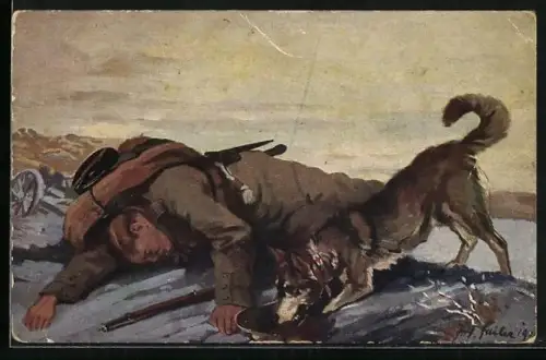 AK Der Sanitätshund im Felde findet einen Verwundeten auf