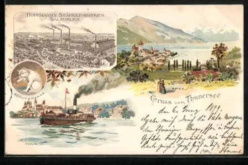 Lithographie Thun, Hoffmann`s Stärkefabriken Salzuflen, Teilansicht mit Dampfer, Katze Schutzmarke