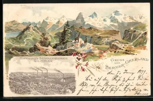 Lithographie Berner Oberland, Steinböcke in den Alpen, Hoffmanns Stärkefabriken Salzuflen