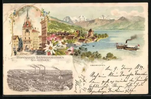 Lithographie Oberhofen am Thunersee, Hoffmanns Stärkefabriken Salzuflen, Bern, Oberhofen, Dampfer
