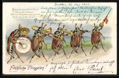 AK musizierende Maikäfer auf dem Weg