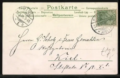 AK musizierende Maikäfer auf dem Weg