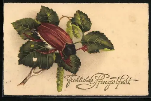 AK Maikäfer auf Birkenzweig, Pfingstgruss