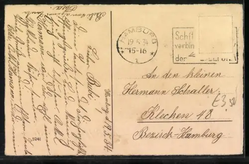 AK Maikäfer auf Birkenzweig, Pfingstgruss