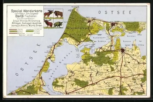 AK Darss / Ostsee, Spezial Wanderkarte vom Naturschutzgebiet