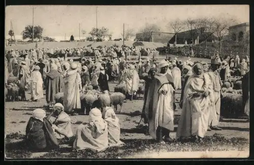 AK Mascara, marché aux Moutons
