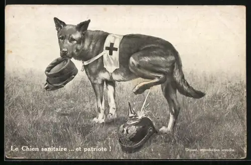 AK Le chien sanitaire... et patriote! Sanitätshund pinkelt auf dt. Pickelhaube, Propaganda Entente