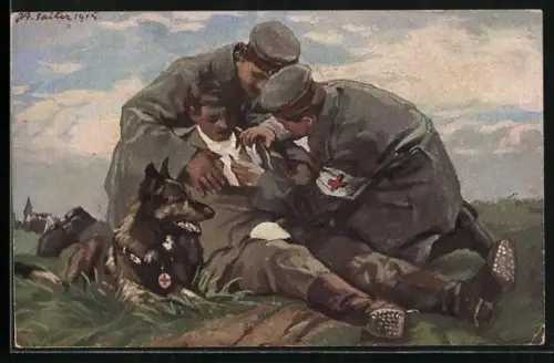 AK Der vom Sanitätshund aufgestöberte Verwundete wird vom Führer des Hundes verbundent