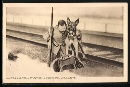 AK Sanitätshund Troll stützt einen aufgespürten Verwundeten