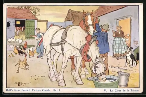 AK Pferde beim Wassertrinken auf dem Bauernhof