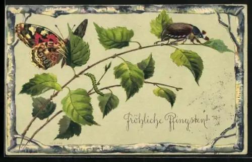 AK Maikäfer auf einem Zweig und Schmetterling, Pfingstgruss