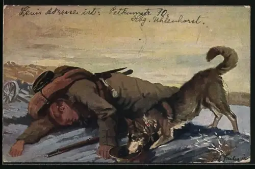 AK Der Sanitätshund im Felde findet einen Verwundeten auf