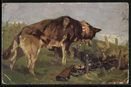 Künstler-AK Sanitätshund und Gewehr auf einem Schlachtfeld