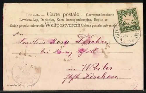 Lithographie Bergsteigerschuh mit Edelweiss-Applikation und Spikes um 1900