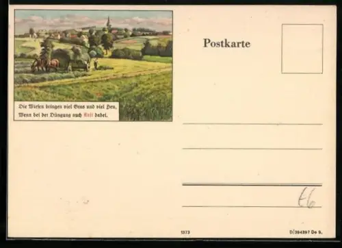 AK Reklame Mehr Gras, mehr Hau die Wiese bringt, Wenn Sie mit Kali gut gedüngt