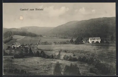 AK Bärenstein, Gasthof zum Bielatal, Landschaft