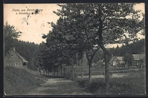 AK Altenberg i. Erzgeb., Partie aus Hirschsprung