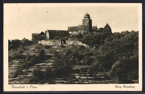 AK Neustadt i. Odw., Gesamtansicht der Burg Breuberg