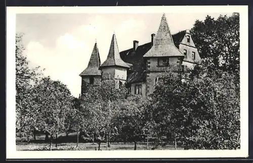 AK Schmieheim /Baden, Schloss Schmieheim