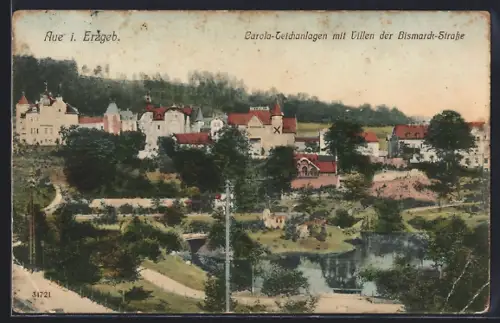 AK Aue i. Erzgeb., Carola-Teichanlagen mit Villen der Bismarck-Strasse