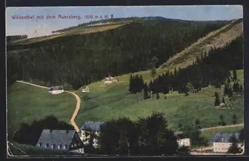 AK Wildenthal, Auersberg, Landschaftsansicht