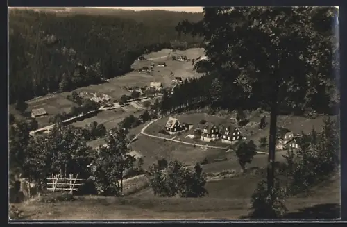 AK Steindöbra /Klingenthal, Ortsansicht mit Wohnhäusern und Landschaft