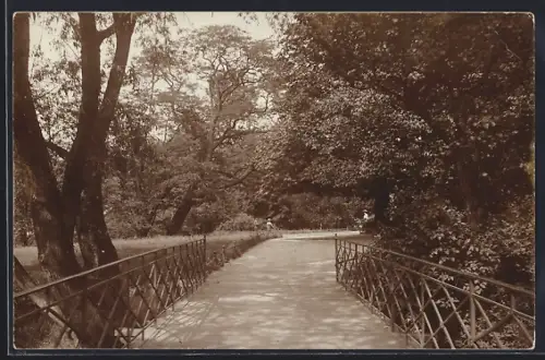 Foto-AK Oldenburg /Oldbg., Schlossgarten, Brücke im Süd-Ost-Teil, 1915
