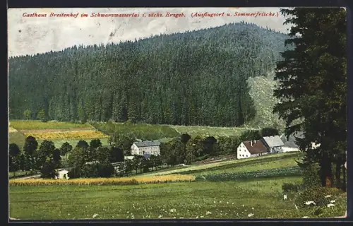 AK Breitenhof im Schwarzwassertal, Gasthaus Breitenhof, Ausflugsort