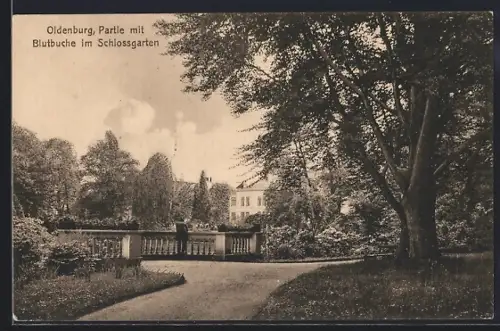 AK Oldenburg / O., Partie mit Blutbuche im Schlossgarten
