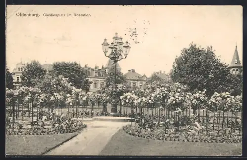 AK Oldenburg / O., Cäcilienplatz im Rosenflor
