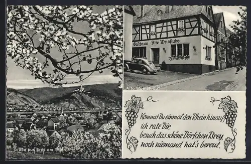 AK Brey am Rhein, Gasthaus Alte Weinstube, Bes. Hans Wilhelm