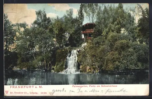 AK Frankfurt-Westend, Palmengarten, Partie am Schweizerhaus