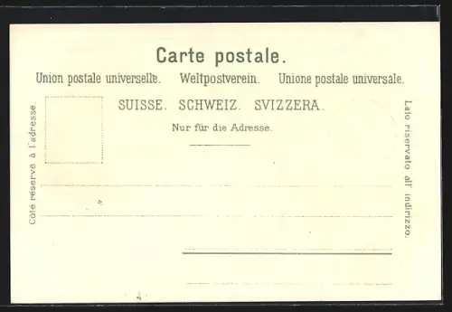 Lithographie Weinfelden, Totalansicht, Schloss, Kirche, Schule