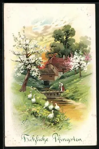 Präge-AK Fröhliche Pfingsten, Gänseschar am Bachufer