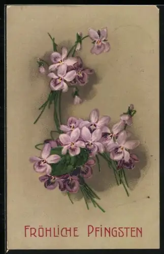 Präge-AK Blühende Veilchen mit Pfingstgruss