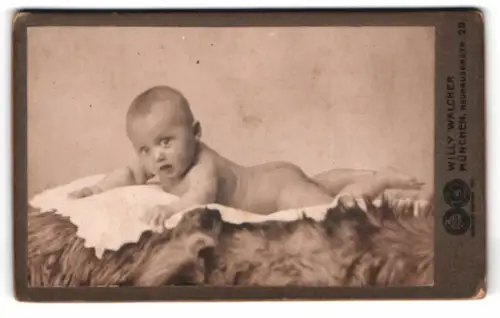 Fotografie Willy Walcher, München, Neuhauserstr. 29, Kleinkind auf Fell