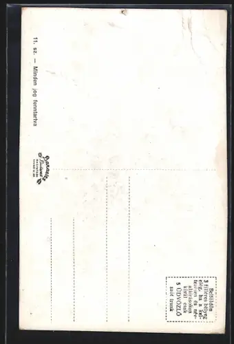 AK Munkács, Városháza