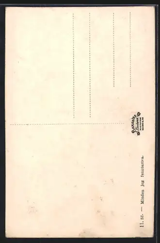 AK Munkács, Városháza