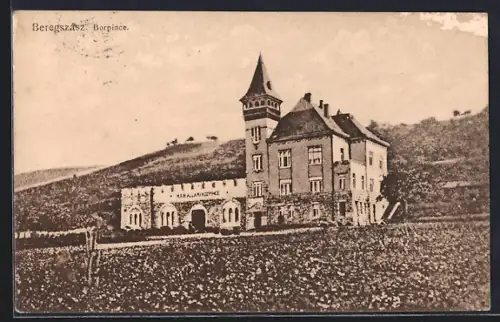 AK Beregszasz, Borpince