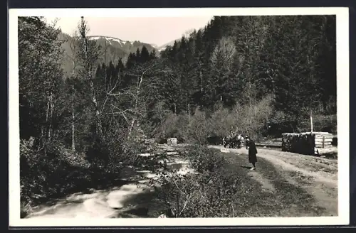 AK Raho Környeke, Kevelei völgy, hatterben a Bliznica