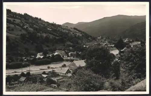 AK Tiszabogdany, Latkep