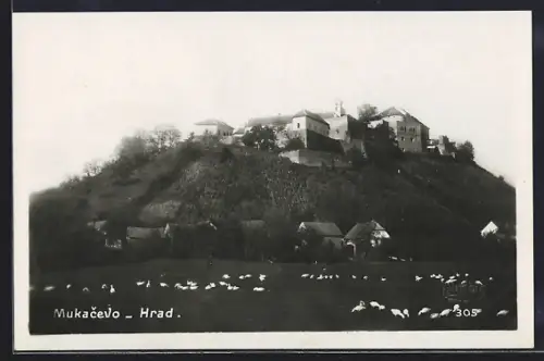 AK Mukacevo, Die Burg