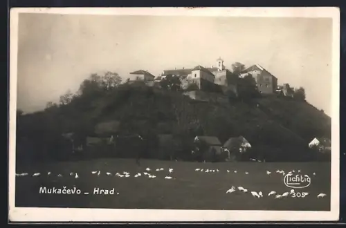 AK Mukacevo, Hrad