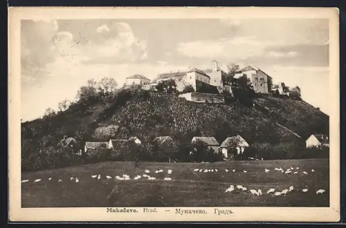 AK Mukacevo, Hrad