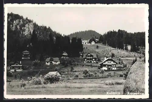 AK Kolibicza, Karpatina