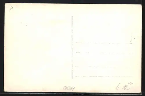 Foto-AK Rohrmoss, Gasthaus Moser mit Alpenpanorama