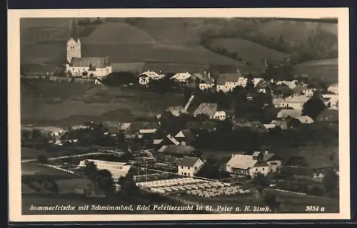 AK St. Peter / Kammersberg, Ortsansicht mit Schwimmbad und Edel Pelztierzucht